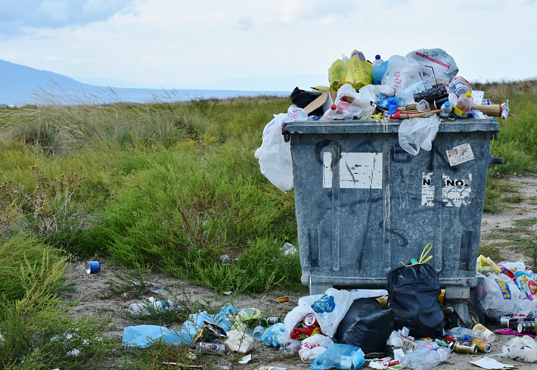 Во Владимирской области нашли свалки мусора на земле хозназначения
