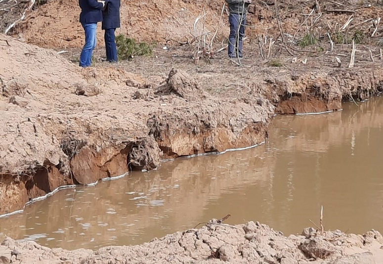 Губернатор потребовал прекратить незаконную добычу песка в Судогодском районе