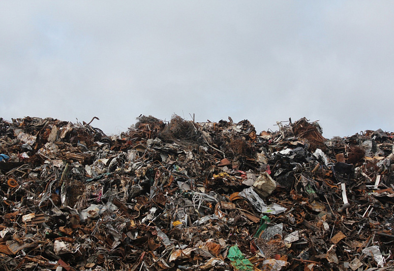 На Александровской городской свалке нашли мусор из Подмосковья